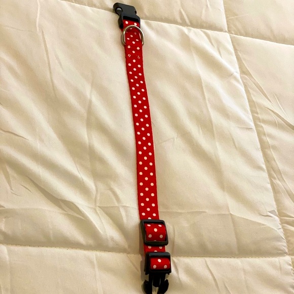 Small Dog Collar - Polka Dots - Picture 5 of 6
